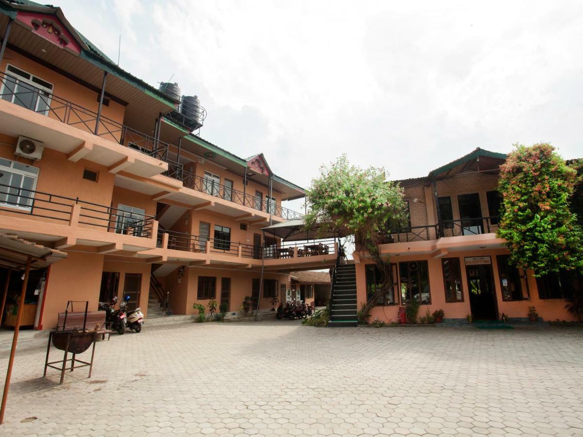 Spot On 486 Hotel Holy Lodge Sauraha Exterior photo