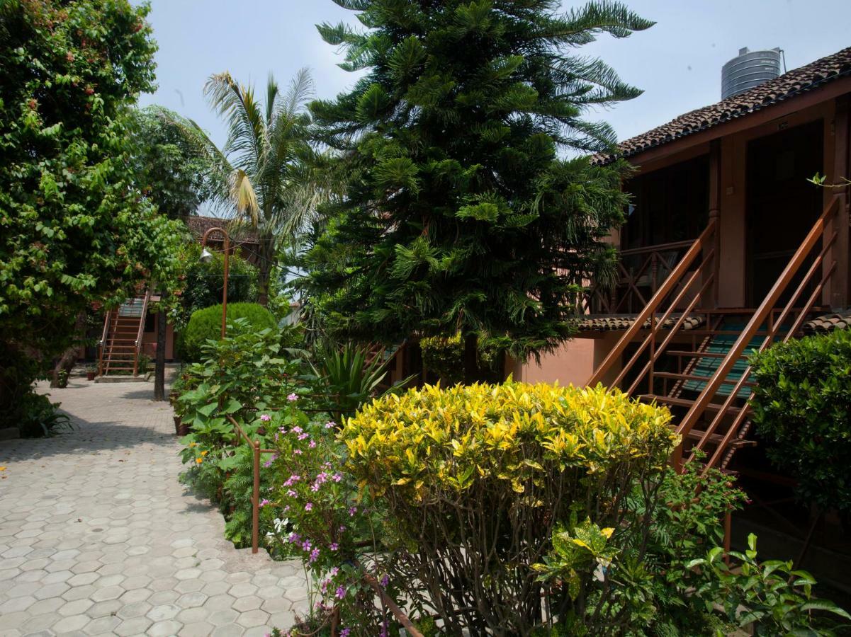 Spot On 486 Hotel Holy Lodge Sauraha Exterior photo