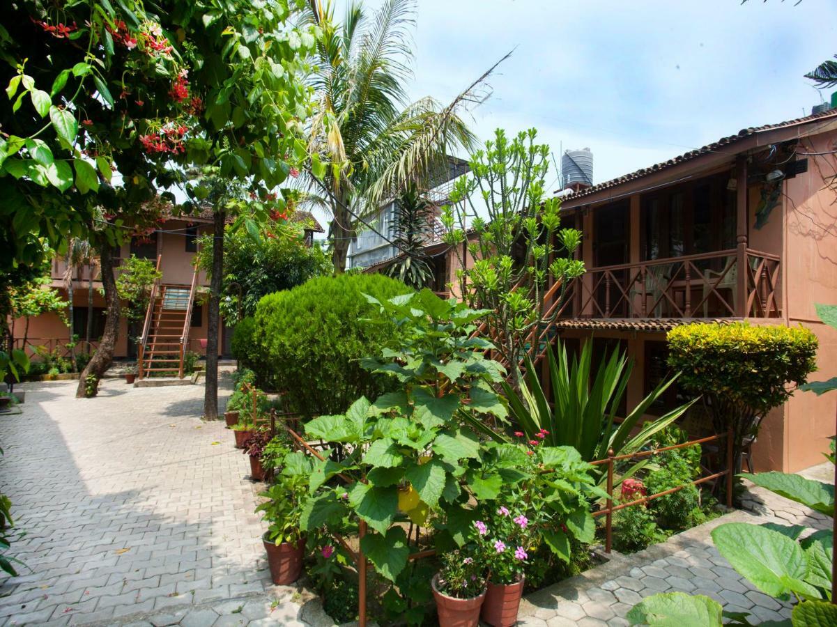 Spot On 486 Hotel Holy Lodge Sauraha Exterior photo